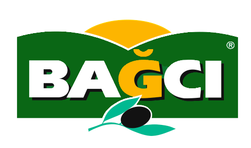 bagci-logo-png